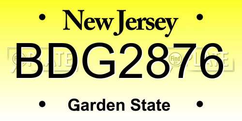 BDG2876 New Jersey License Plate