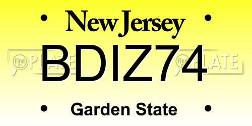 BDIZ74 New Jersey License Plate