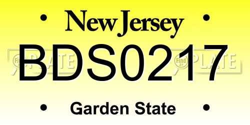 BDS0217 New Jersey License Plate