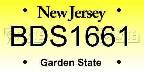 BDS1661 New Jersey License Plate