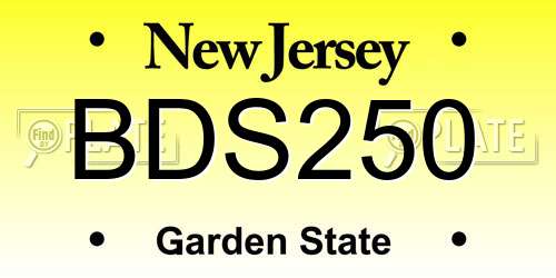 BDS250 New Jersey License Plate
