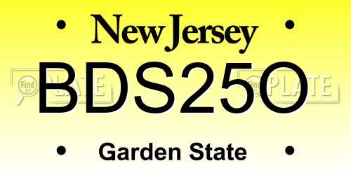 BDS25O New Jersey License Plate