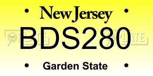 BDS280 New Jersey License Plate