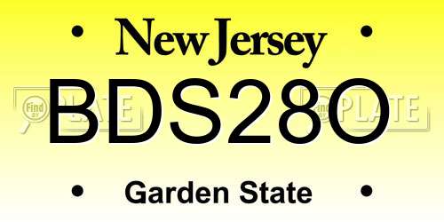 BDS28O New Jersey License Plate