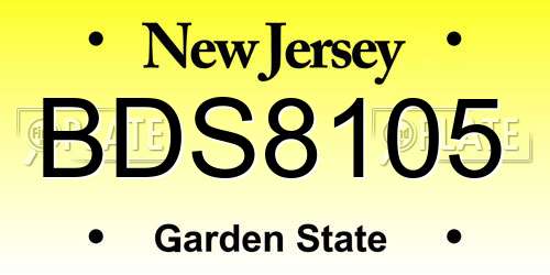BDS8105 New Jersey License Plate