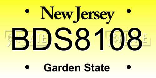 BDS8108 New Jersey License Plate