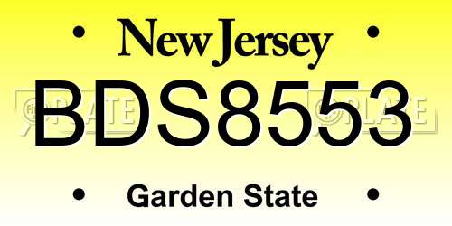 BDS8553 New Jersey License Plate