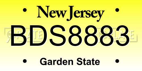 BDS8883 New Jersey License Plate