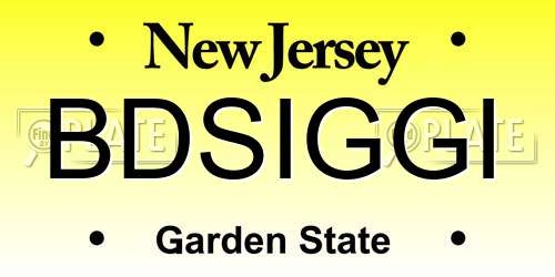 BDSIGGI New Jersey License Plate