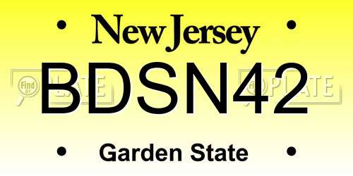 BDSN42 New Jersey License Plate