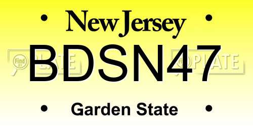 BDSN47 New Jersey License Plate