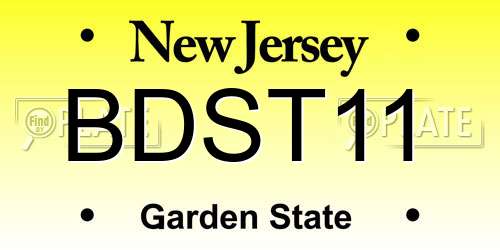 BDST11 New Jersey License Plate