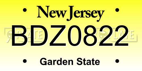 BDZ0822 New Jersey License Plate