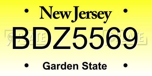 BDZ5569 New Jersey License Plate