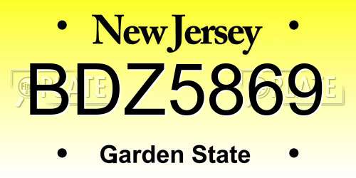 BDZ5869 New Jersey License Plate