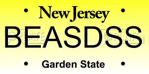 BEASDSS New Jersey License Plate