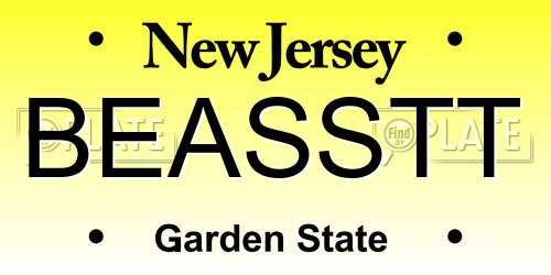 BEASSTT New Jersey License Plate