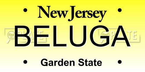 BELUGA New Jersey License Plate