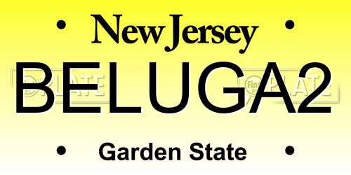 BELUGA2 New Jersey License Plate