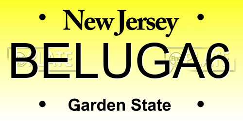 BELUGA6 New Jersey License Plate