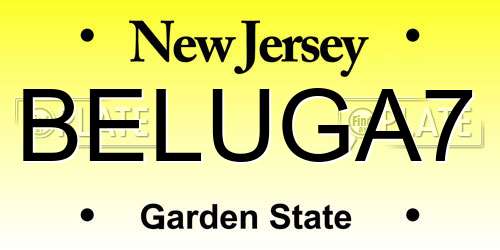 BELUGA7 New Jersey License Plate