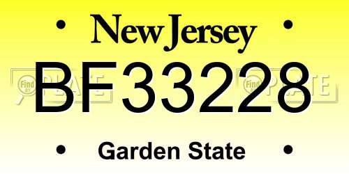 BF33228 New Jersey License Plate