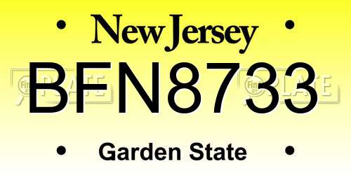 BFN8733 New Jersey License Plate