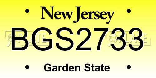 BGS2733 New Jersey License Plate