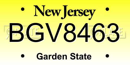 BGV8463 New Jersey License Plate