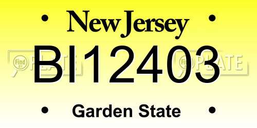BI12403 New Jersey License Plate
