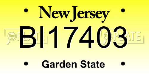 BI17403 New Jersey License Plate
