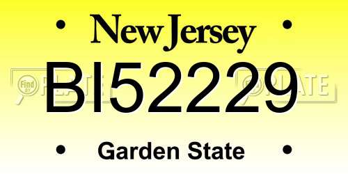 BI52229 New Jersey License Plate