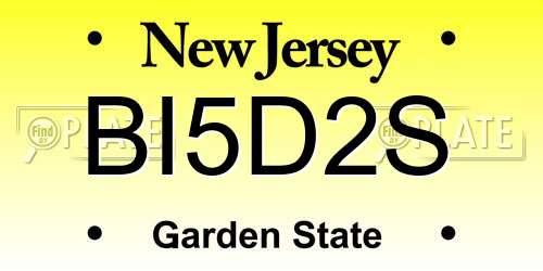 BI5D2S New Jersey License Plate