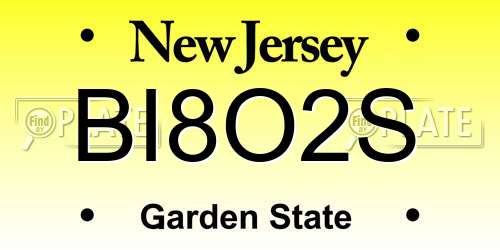 BI8O2S New Jersey License Plate