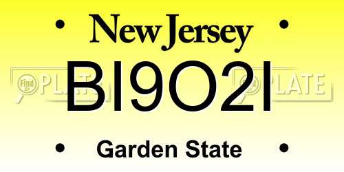 BI9O2I New Jersey License Plate