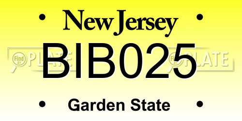 BIB025 New Jersey License Plate