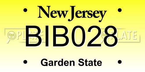 BIB028 New Jersey License Plate