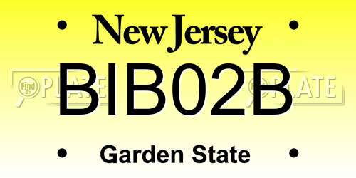 BIB02B New Jersey License Plate