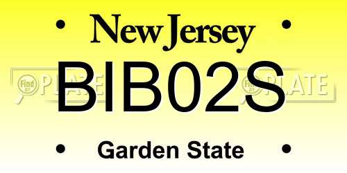 BIB02S New Jersey License Plate