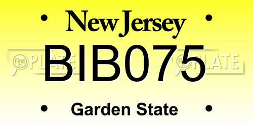 BIB075 New Jersey License Plate