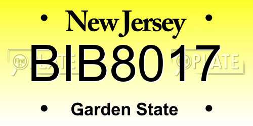 BIB8017 New Jersey License Plate