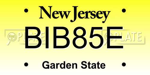 BIB85E New Jersey License Plate