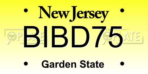 BIBD75 New Jersey License Plate