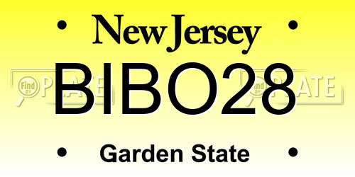 BIBO28 New Jersey License Plate
