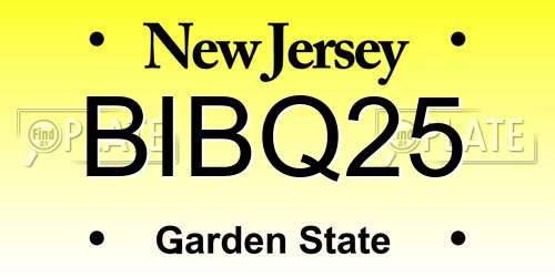 BIBQ25 New Jersey License Plate