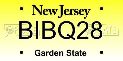 BIBQ28 New Jersey License Plate