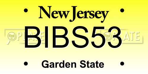 BIBS53 New Jersey License Plate