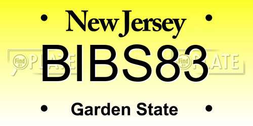 BIBS83 New Jersey License Plate