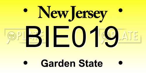 BIE019 New Jersey License Plate