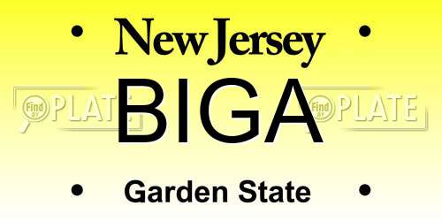 BIGA New Jersey License Plate